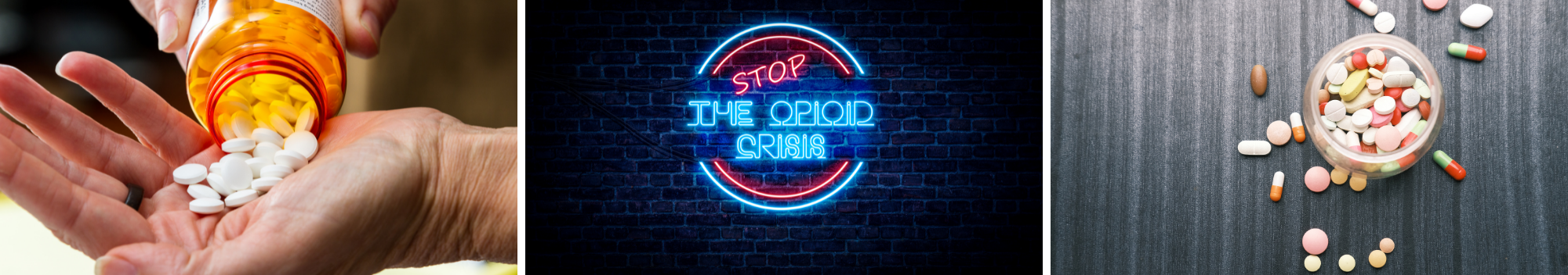 La Crosse County Opioid Use