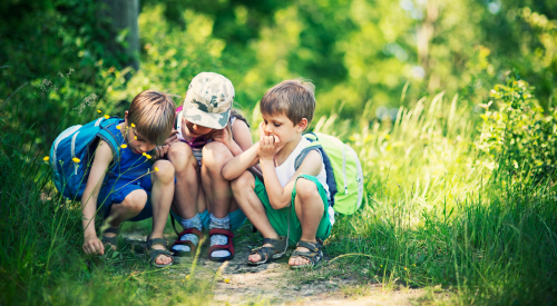 Image of three children outside on a nature trail