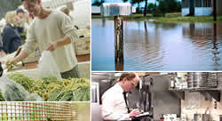 Inspections